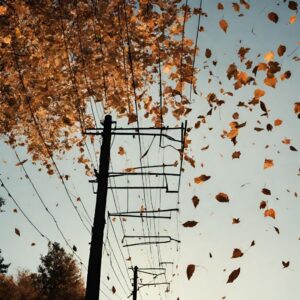 leaves falling around power line