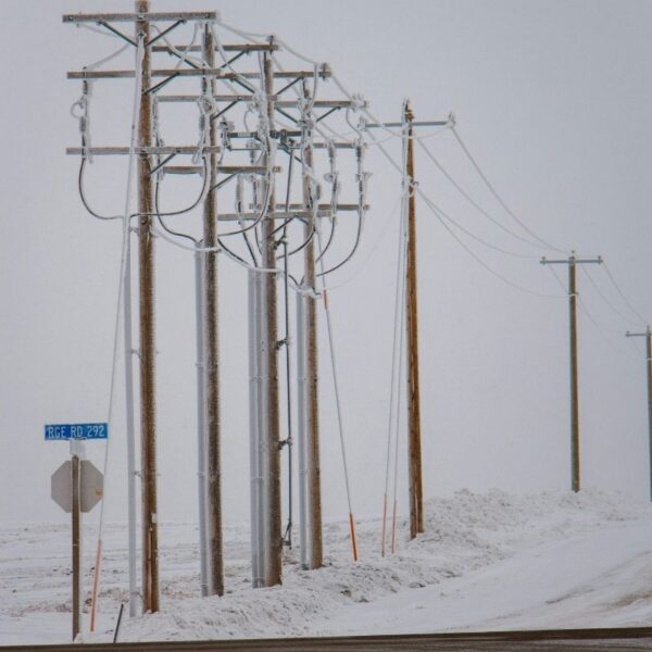 power lines in a winter storm