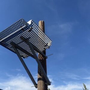 nest platform 3